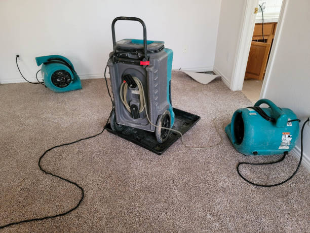 Best 24-hour water damage restoration  in Hydro, OK